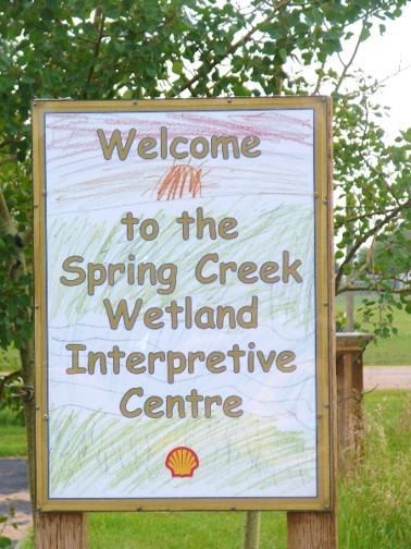 Spring Creek Wetland