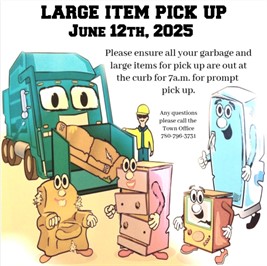 large_item_pickup